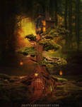 Deep In The Forest by silviya