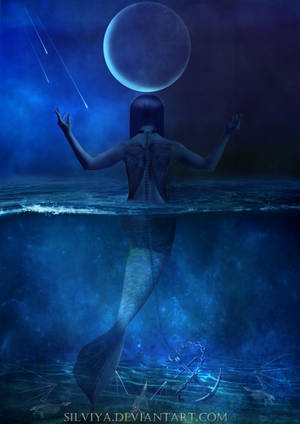 Dream To Fly by silviya Dream To Fly by silviya
