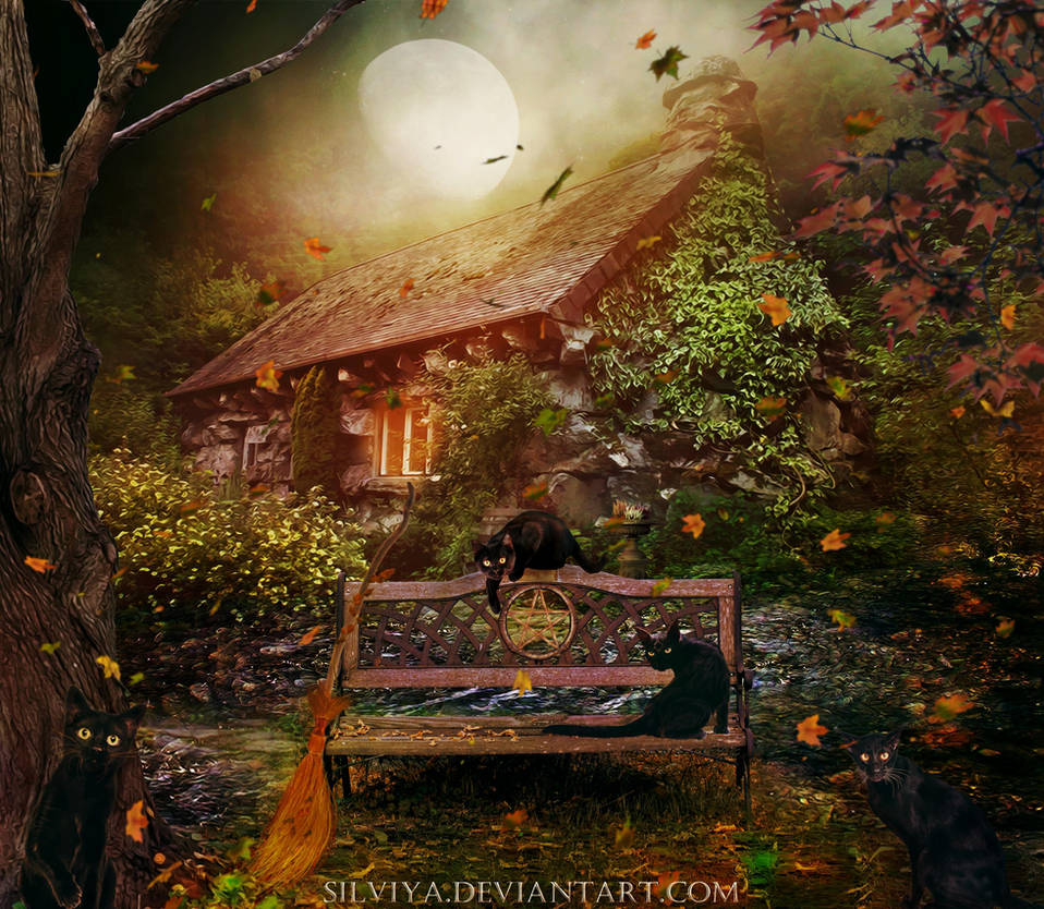 The Witch's House by silviya The Witch's House by silviya