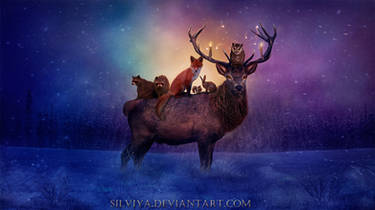 Christmas Night