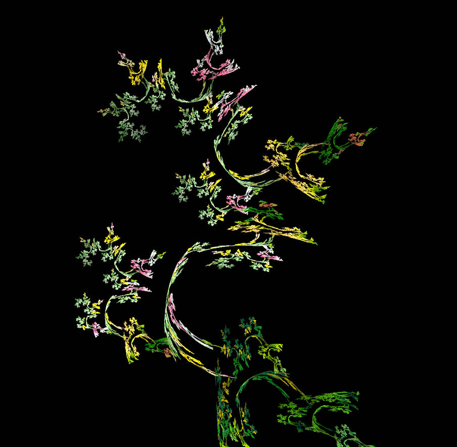 Bonsai by WalkinginDreamlight Bonsai by WalkinginDreamlight