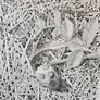 The Art of Drawing Chaos