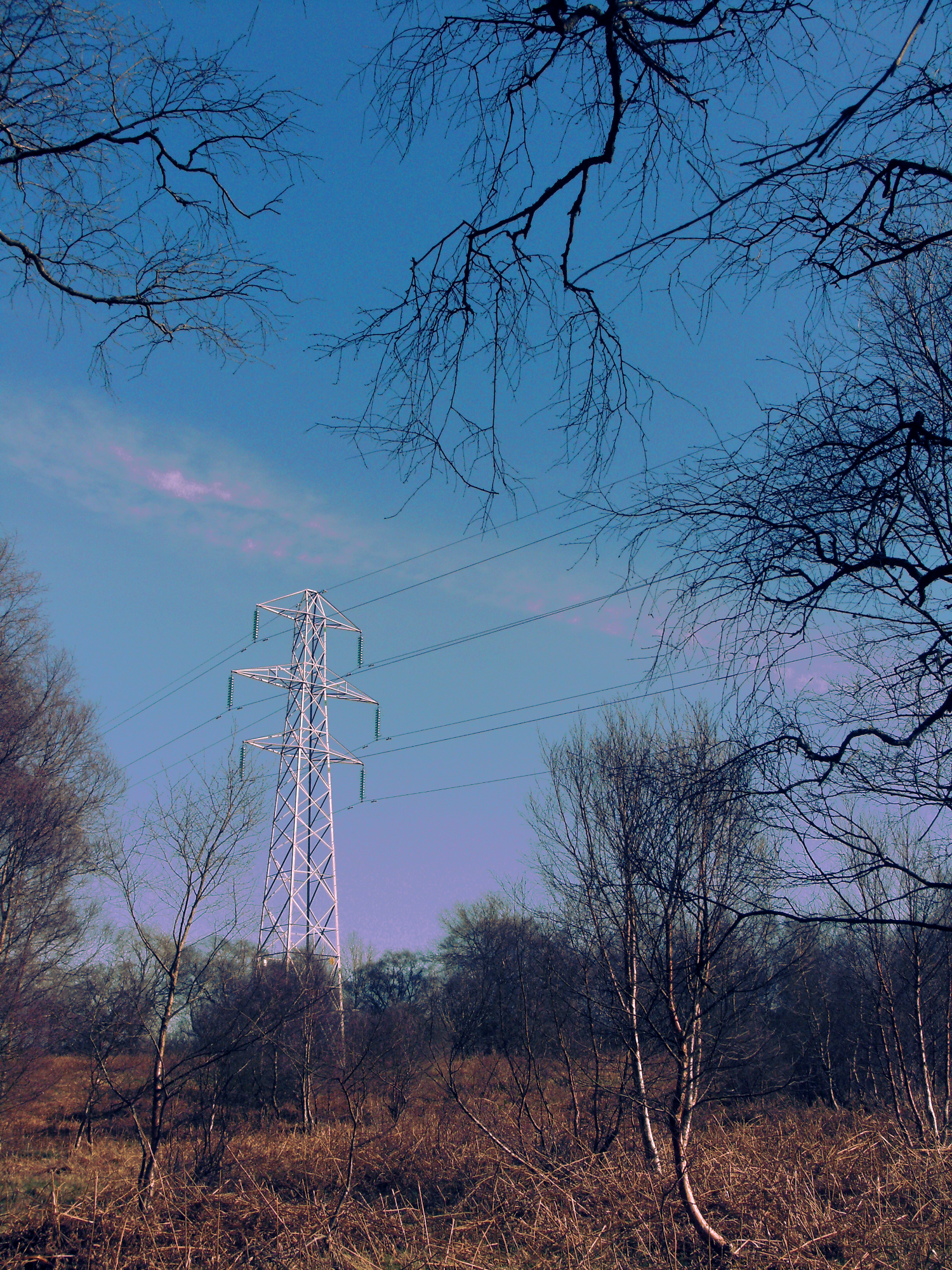 Pylon