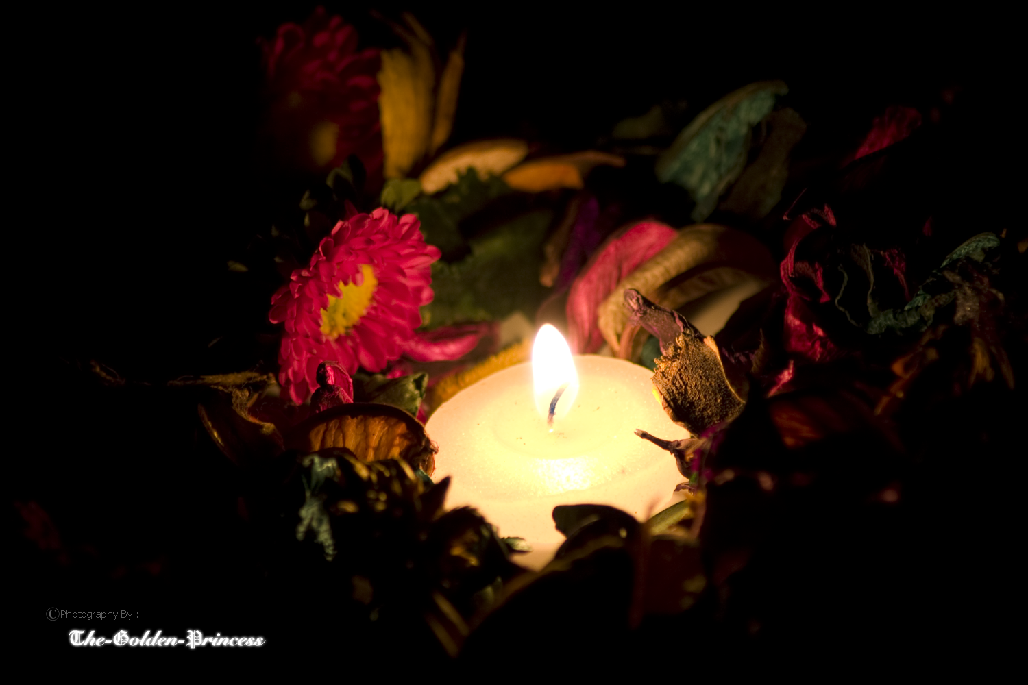 Candle with Rose