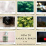 Simple Photography Tips ,, Bokeh 2