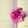 Book's Rose