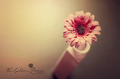 Flower ..