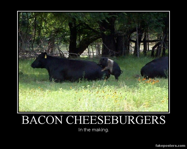 Bacon cheeseburgers