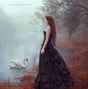 Soul of the Swan