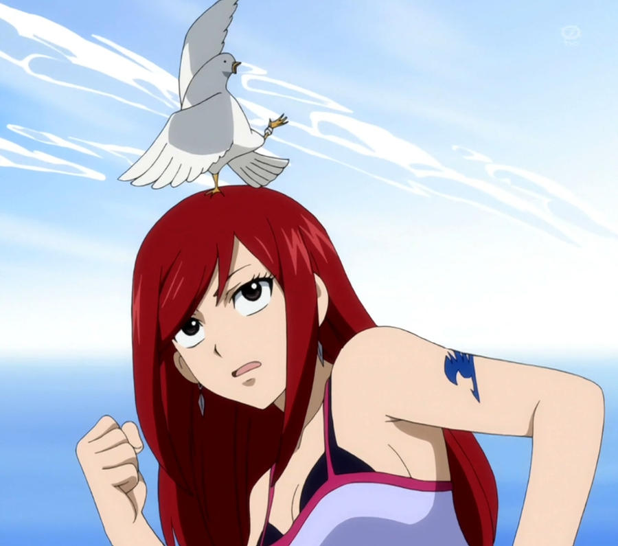 Erza ensamble