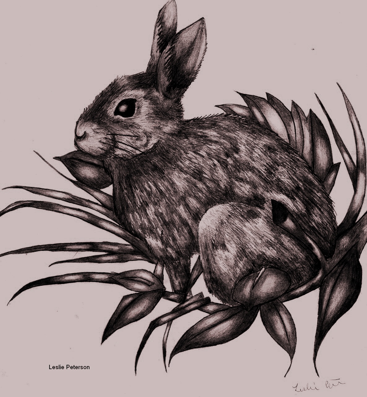 Watership Down