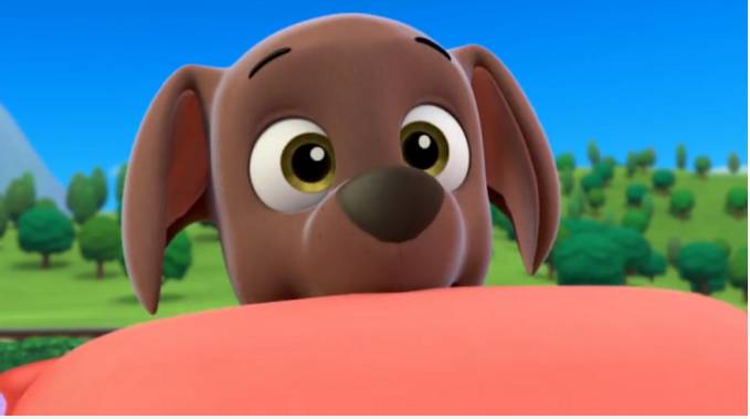 Zuma Deviantart Paw Patrol Zuma shocked by StephanieGabi237 on DeviantArt
