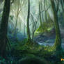 forest concept