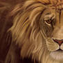 Large Lion, digital painting