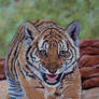 Hear my roar (soft pastels)