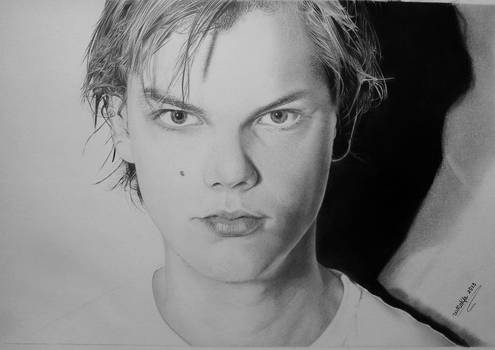 Tim Berg (Avicii)