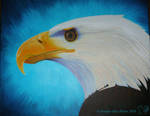 Eagle in Acrylic by Darksavvy