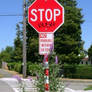 stop bush