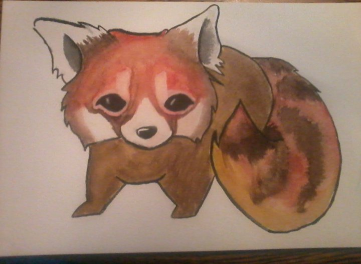 Red-Panda