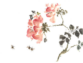 Roses and bees