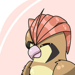 Pidgeotto Icon [pokemon]