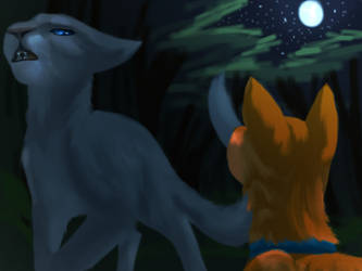 Bluestar and Firestar/Rusty from Warrior cats by DrawesomeJulia