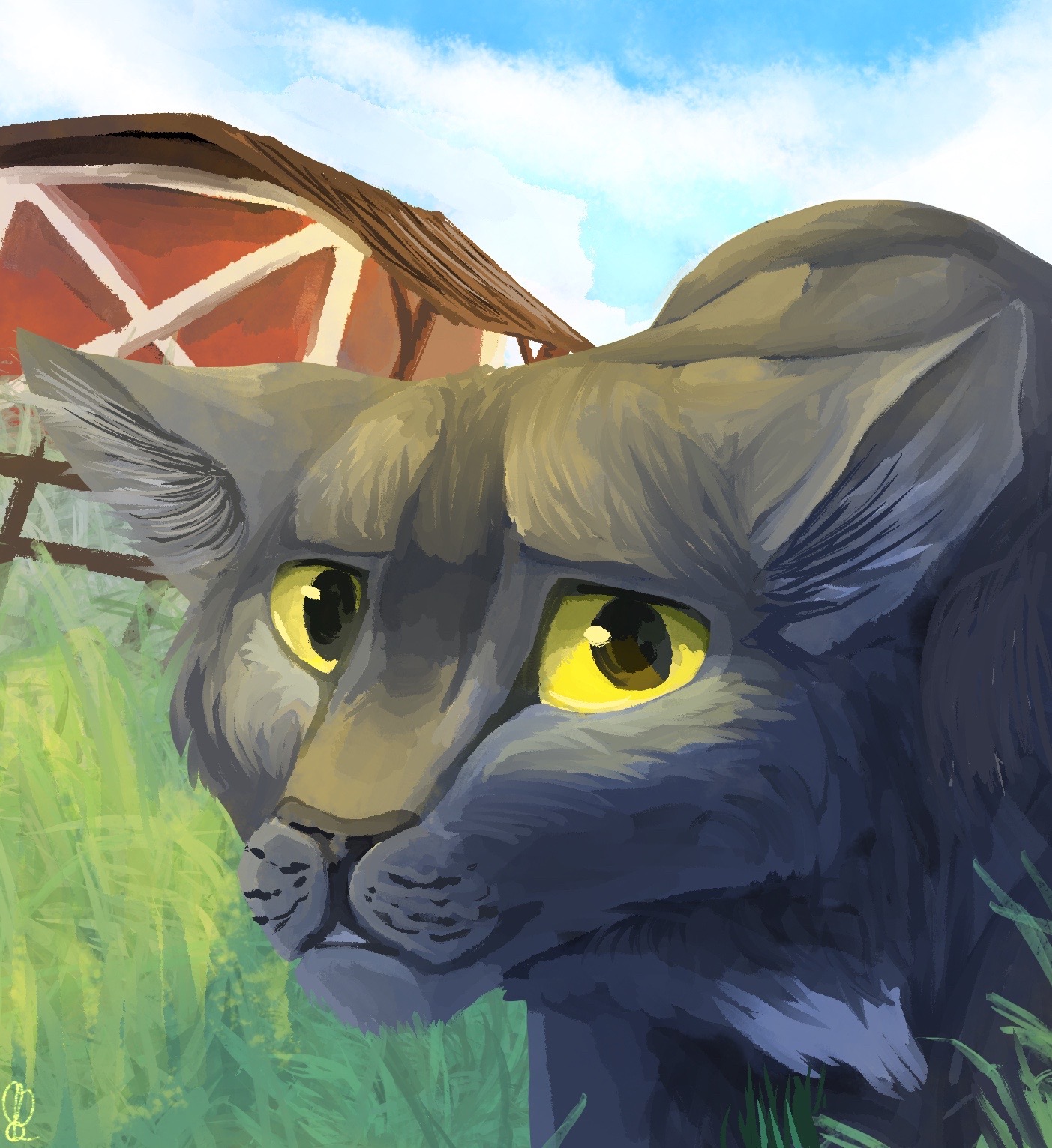 Ravenpaw (warrior cats) by vwolf5 on DeviantArt