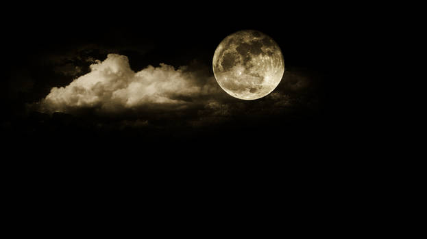 Full Moon Night/Noche de Luna Llena