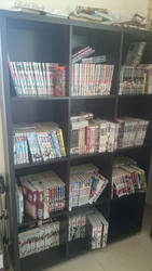 Manga shelves 