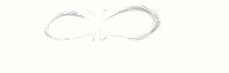 3D White Butterfly