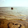 In Love Whith The Ocean