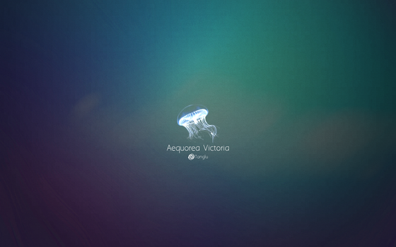 linux wallpapers on custom linux