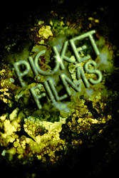 Picket Films