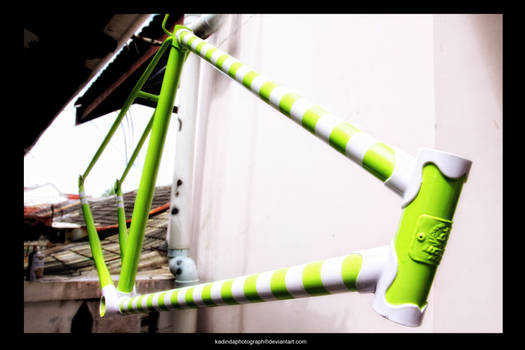 fixie bike 1