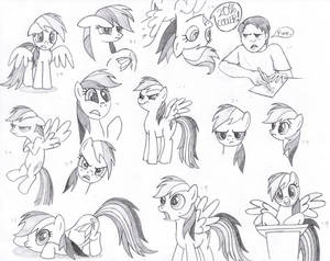 Rainbow Dash Faces MLP FiM