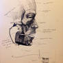 Anatomy Work 2