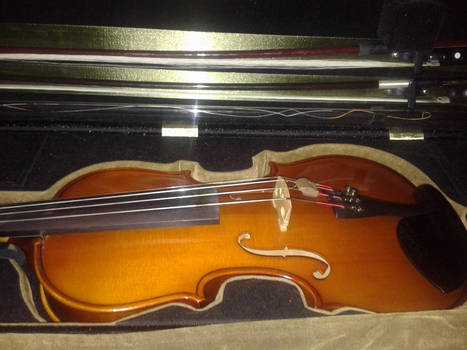 My Violin