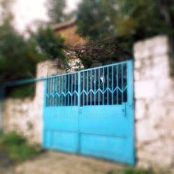 Blue door I