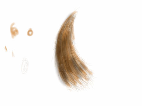 Hair Practice