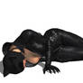 Catwoman Unconscious 3