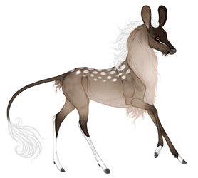 Cleon | Stag | Lieutenant