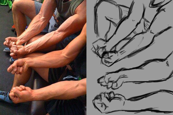 Forearm Study 3 by MagicFanny on DeviantArt