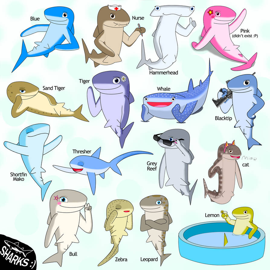 Shark Deviantart Shark Summary v2 by Kudillay on DeviantArt