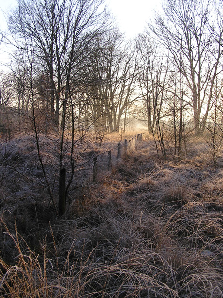 Holland moor 2 - December 2004