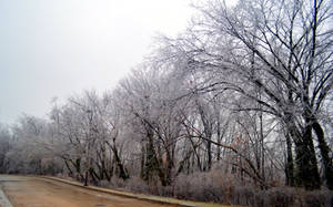 Ice Storm