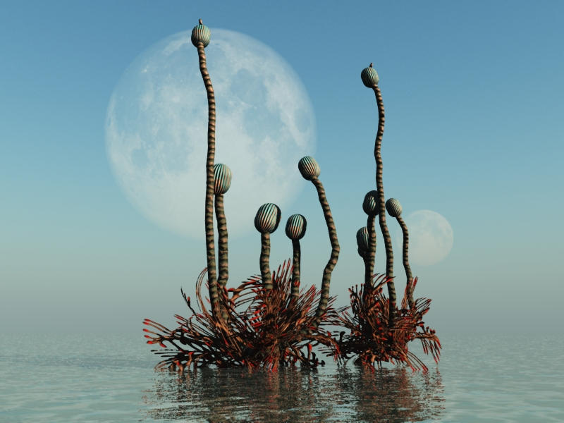 Alien Plant Life by tchalla811 on DeviantArt