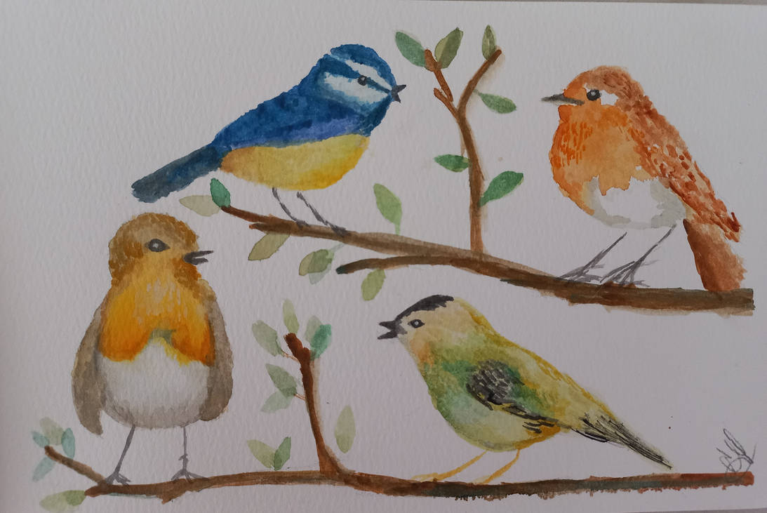 Birds Deviantart Birds by ProyectoArte617 on DeviantArt