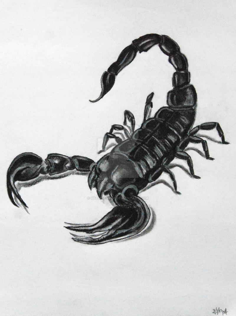 Scorpion tattoo drawing by KelseyAnne on DeviantArt