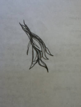 Is it a fish or just a doodle?