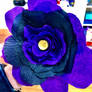 Black and purple Flower 1/7/2020